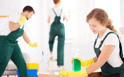 What to Look for in a Professional Cleaner