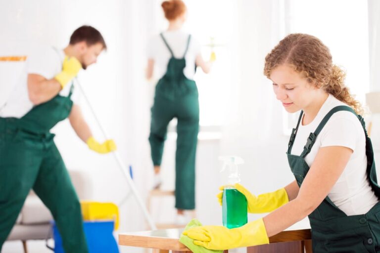 What to Look for in a Professional Cleaner